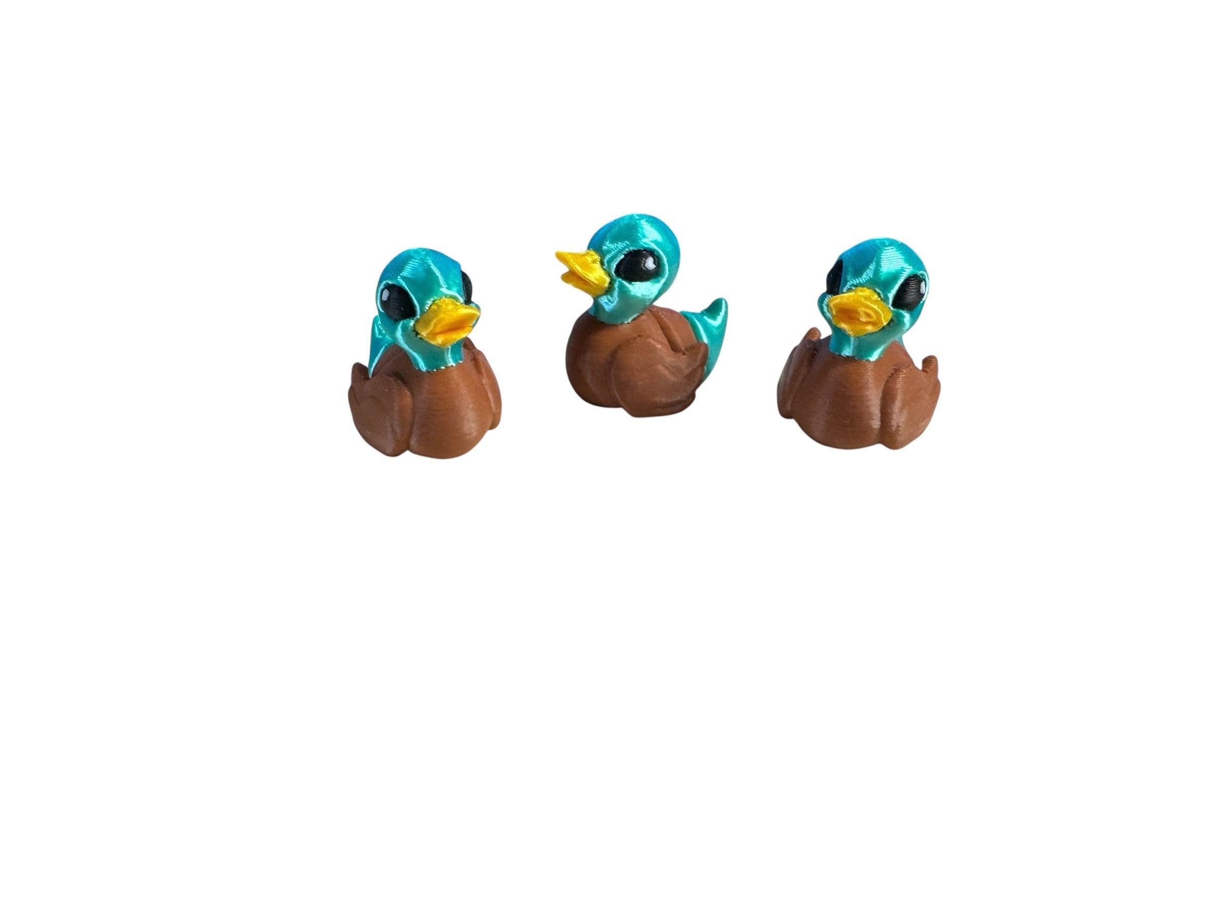 Duck