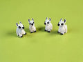 Llama