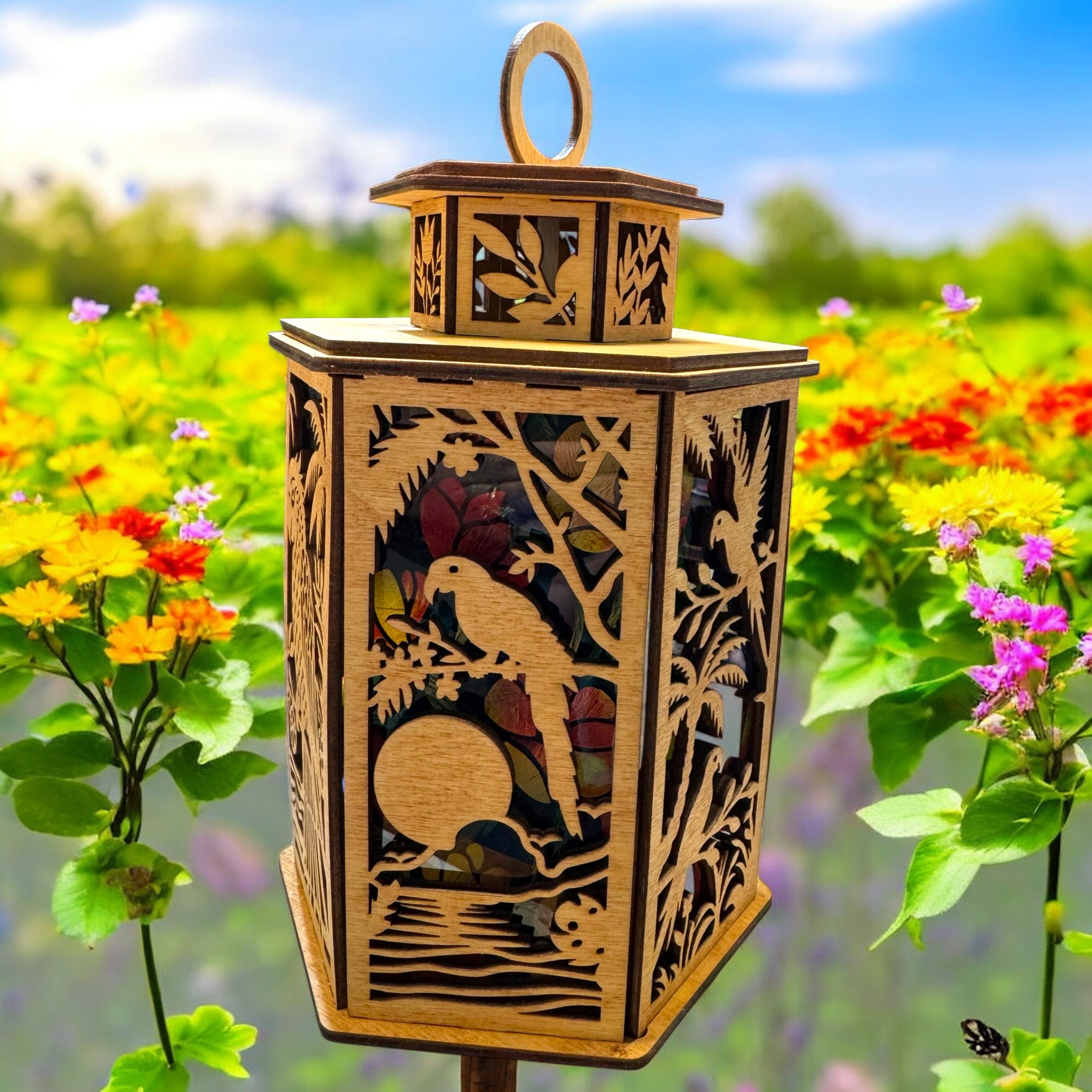 Lantern - Parrots
