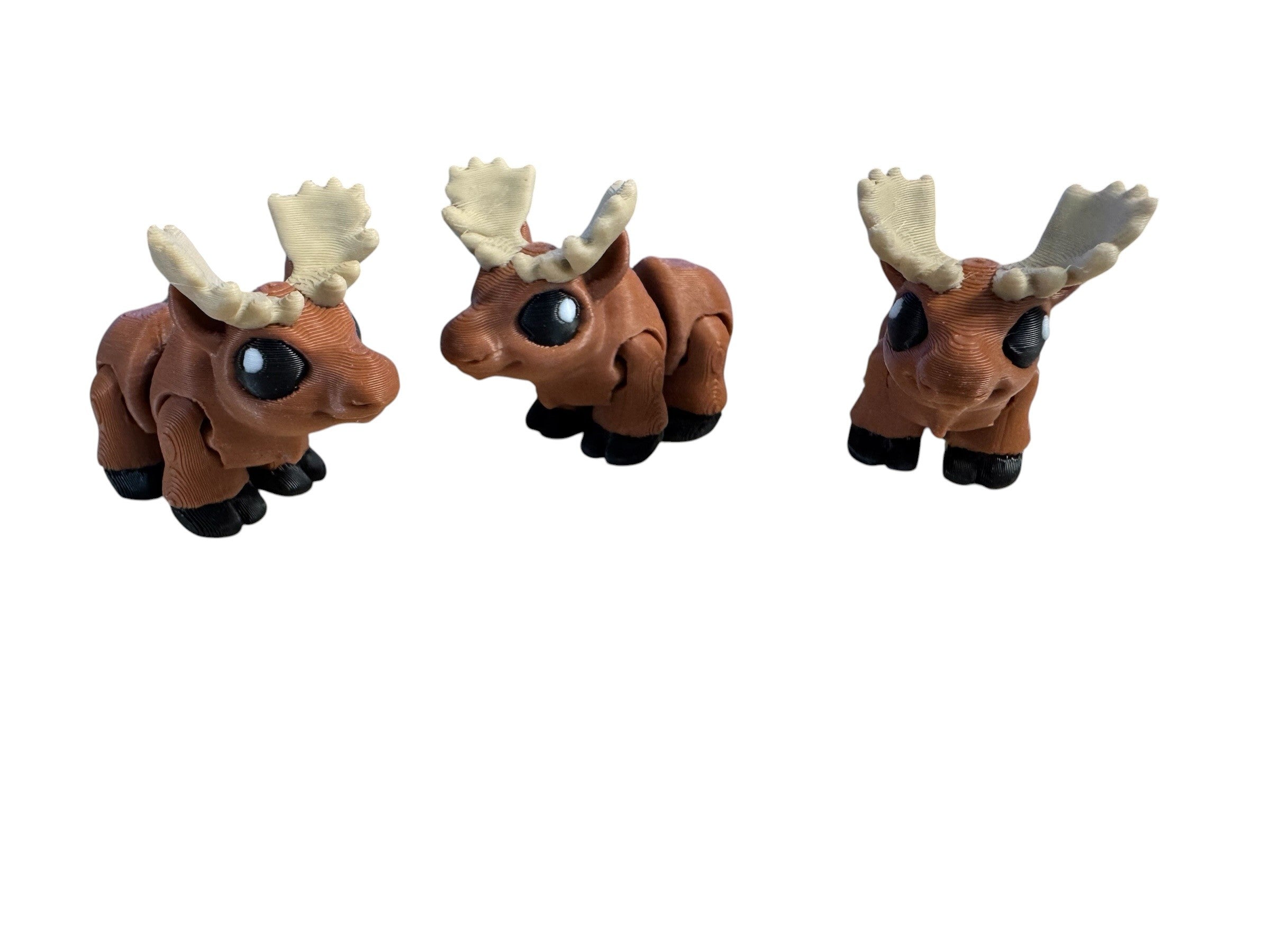 Moose