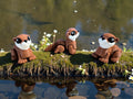 Otter