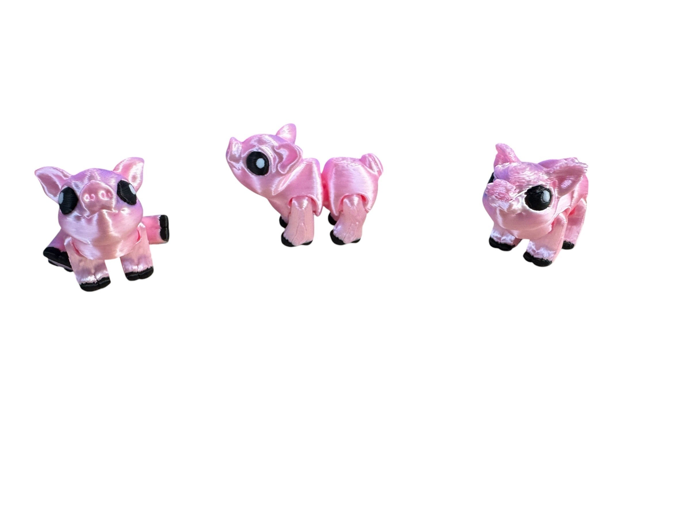 Pig