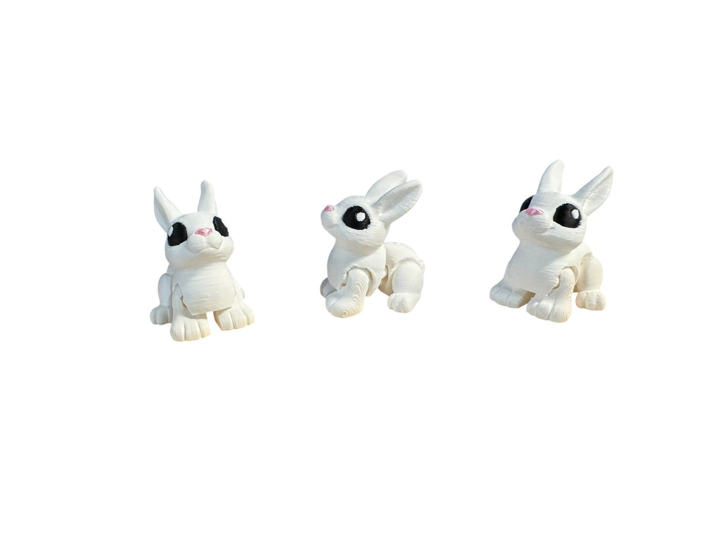 Rabbit