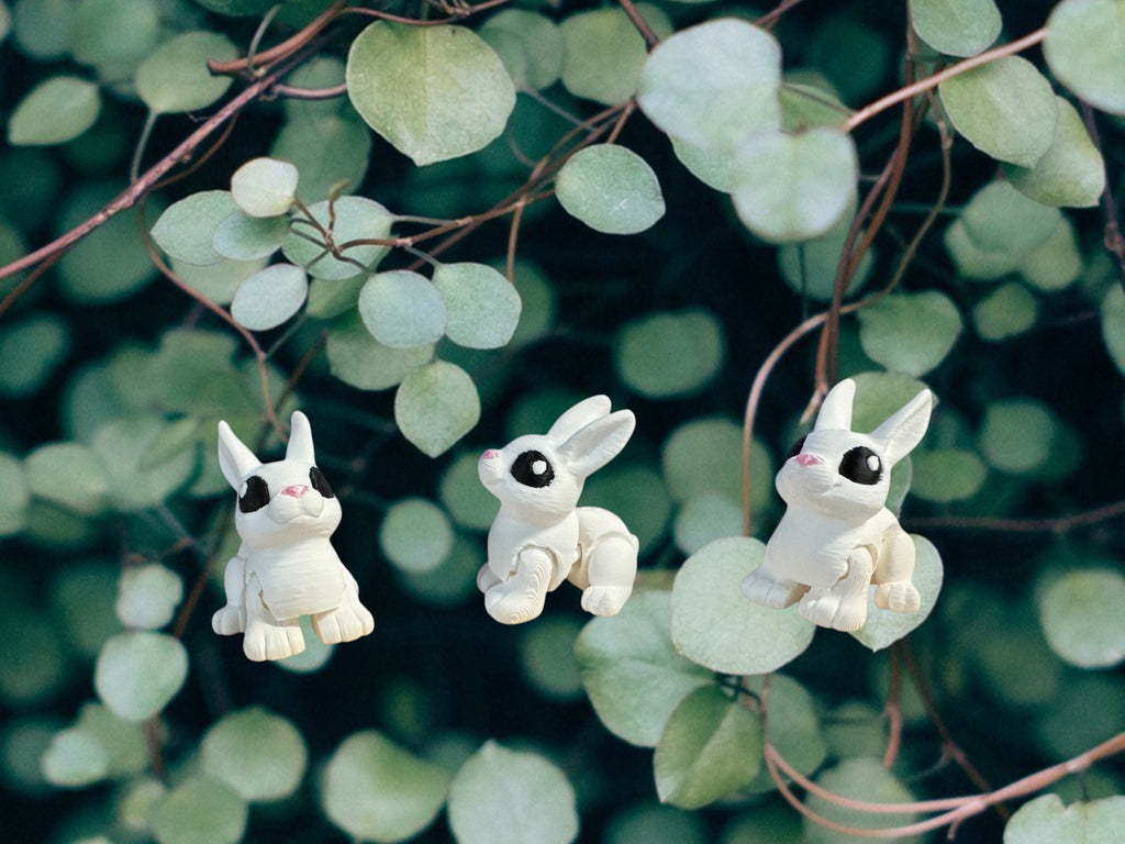 Rabbit