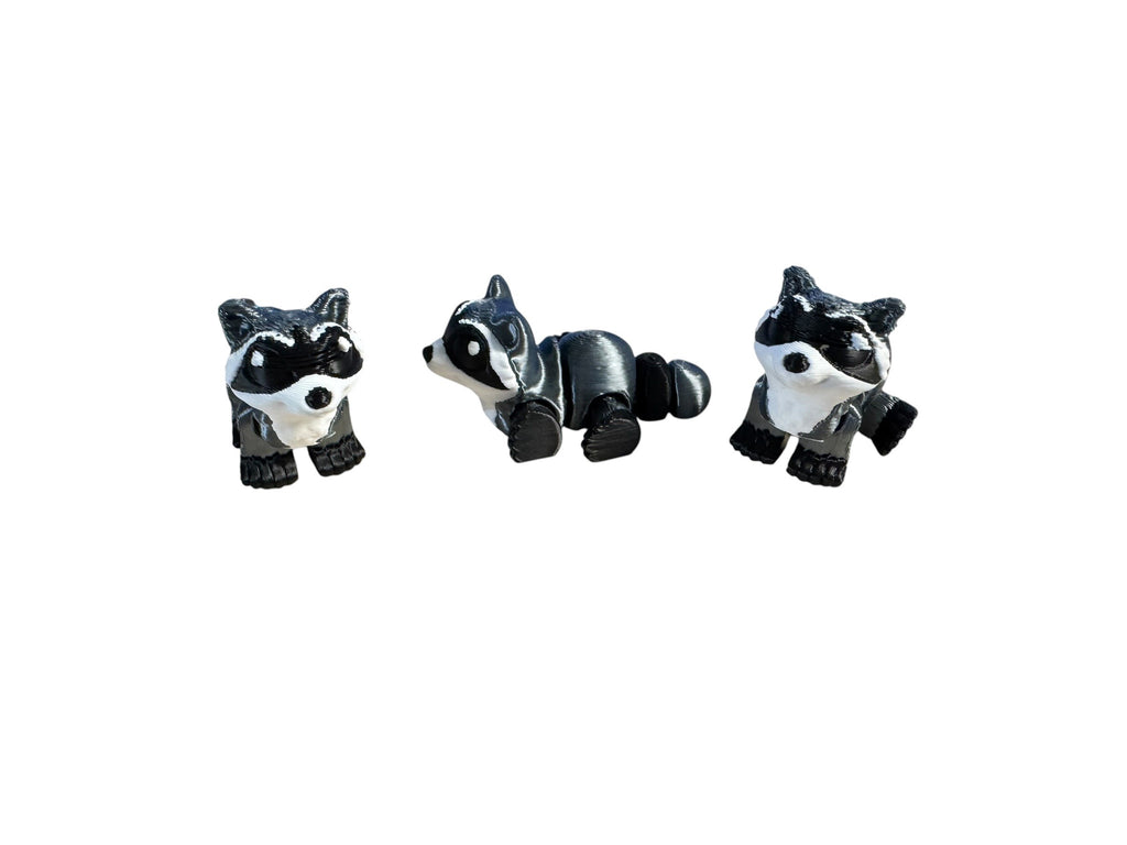 Racoon