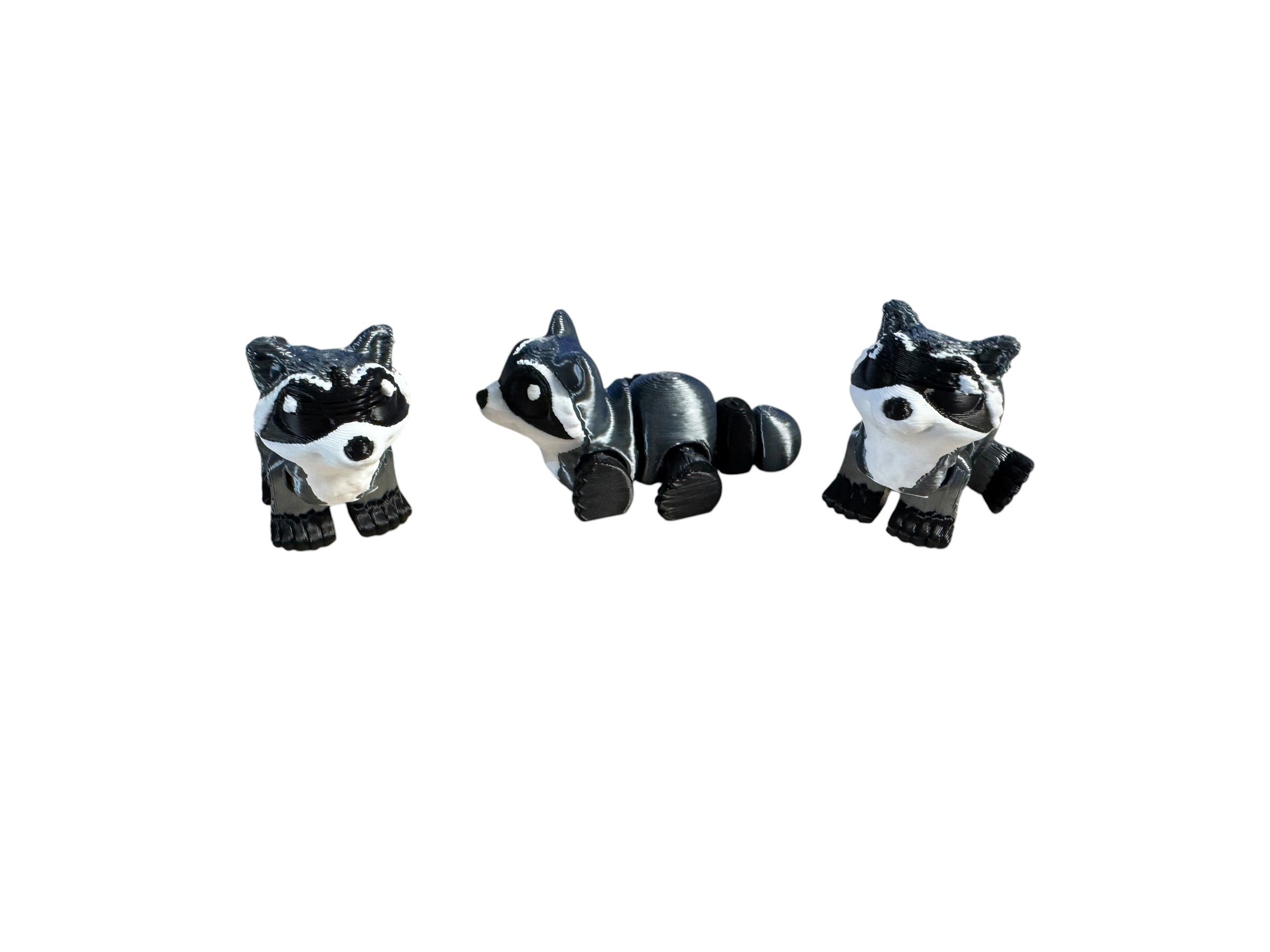 Racoon