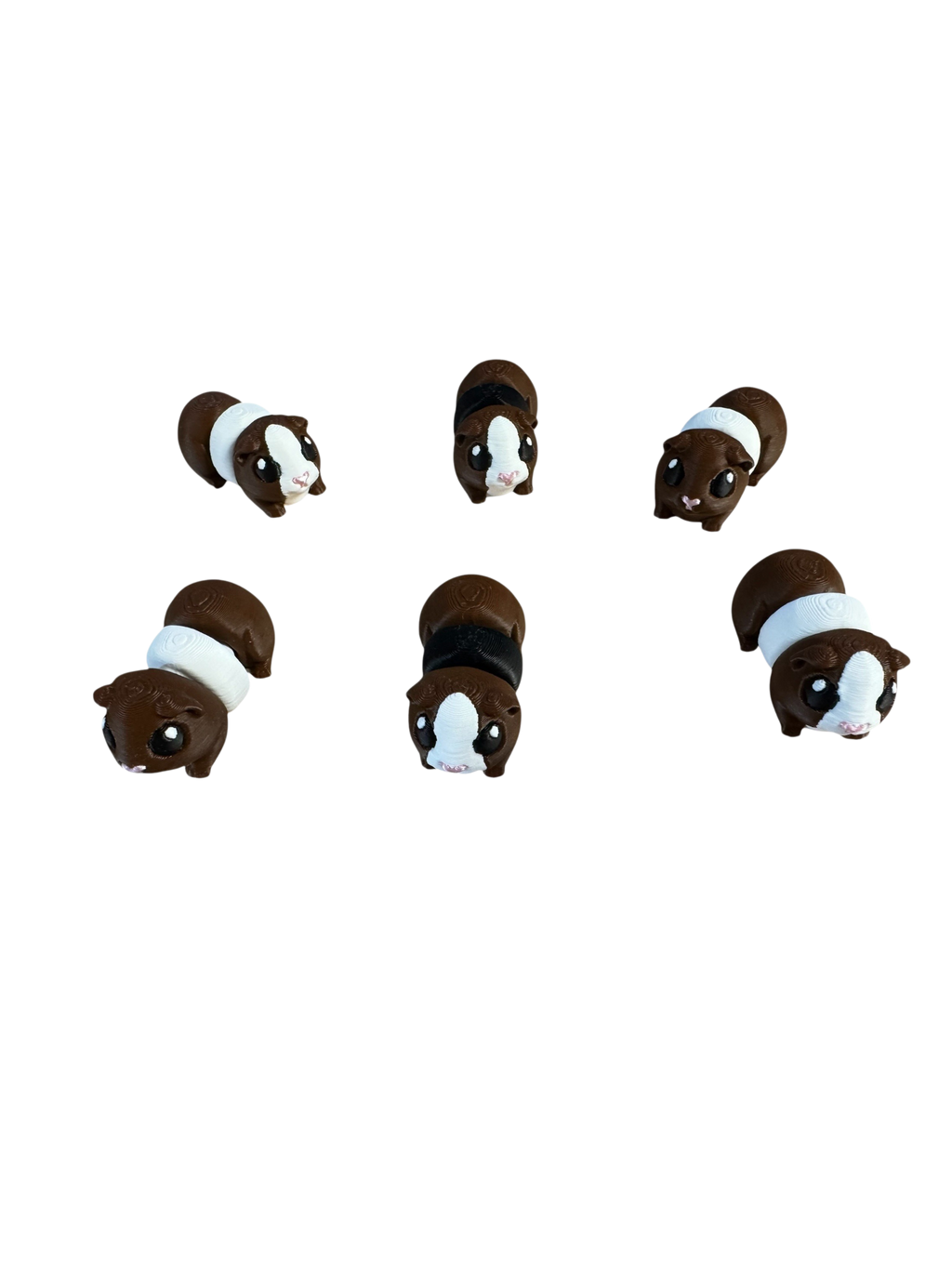 Guenia Pig