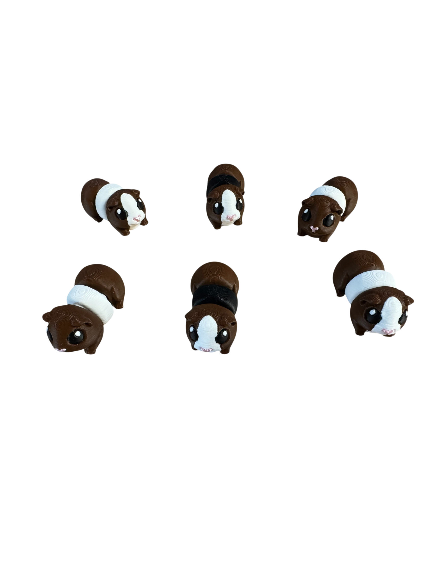 Guenia Pig